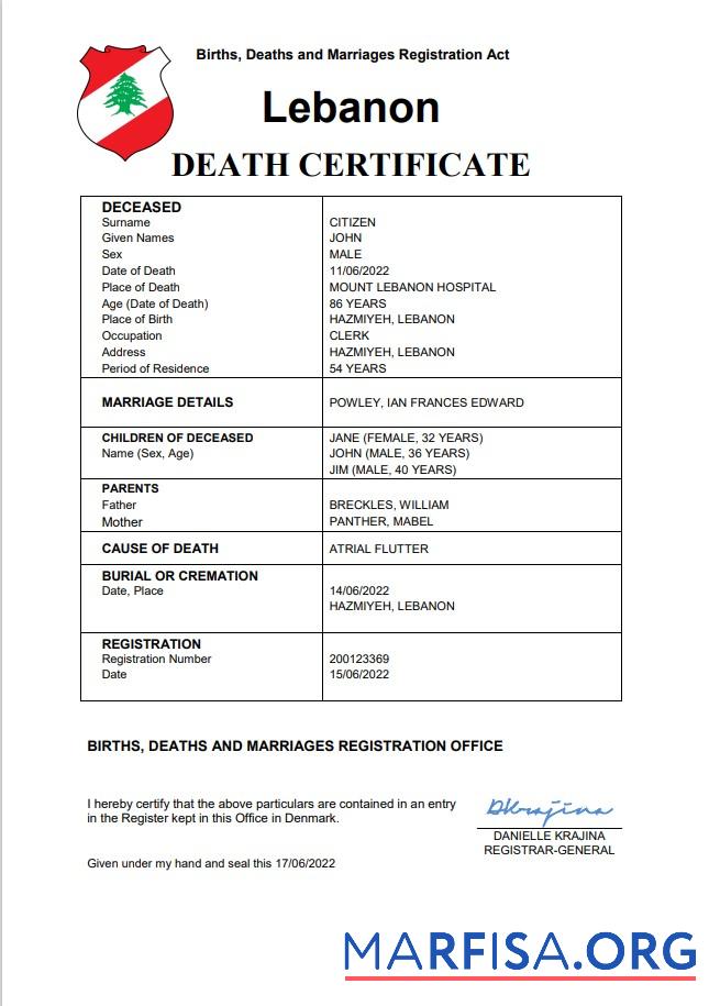 Blank Lebanon death certificate Word and PDF template